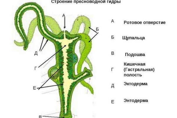 Как вернуть деньги с кракена