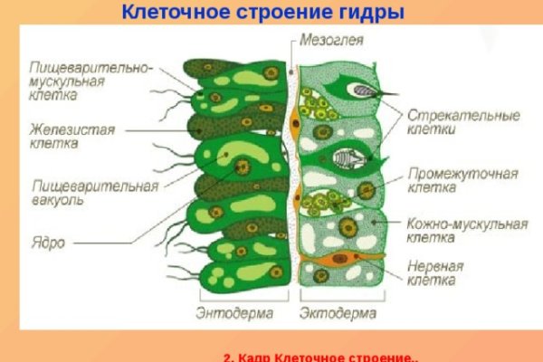 Kraken актуальные зеркала krakentor site