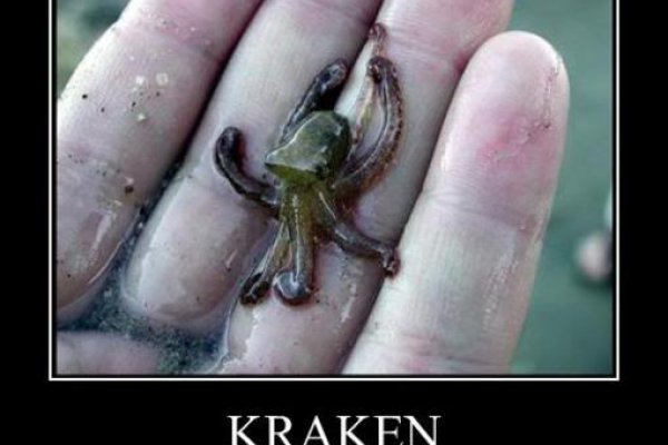 Kraken official